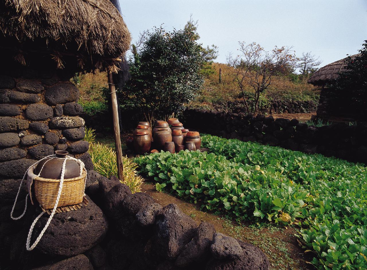 An Exploration of Traditional Living on Jeju