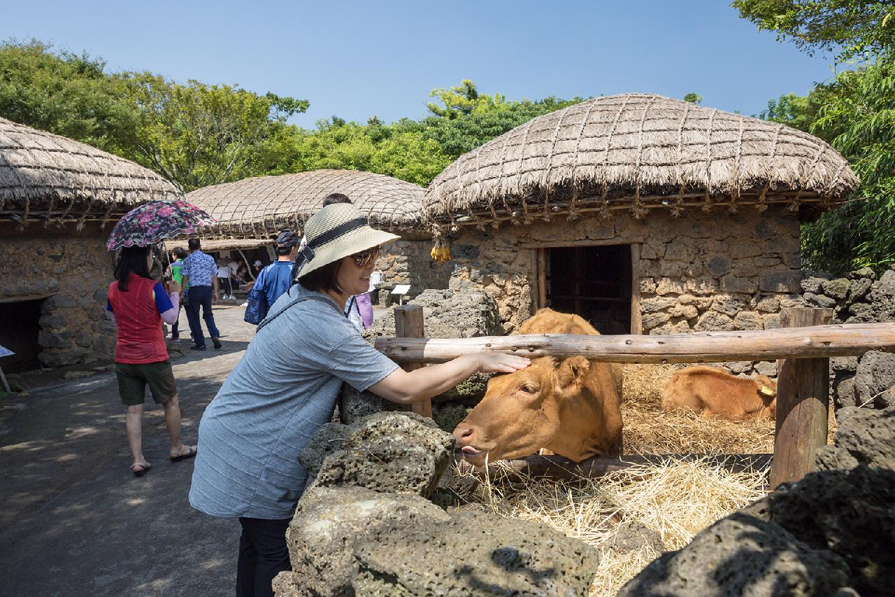 An Exploration of Traditional Living on Jeju