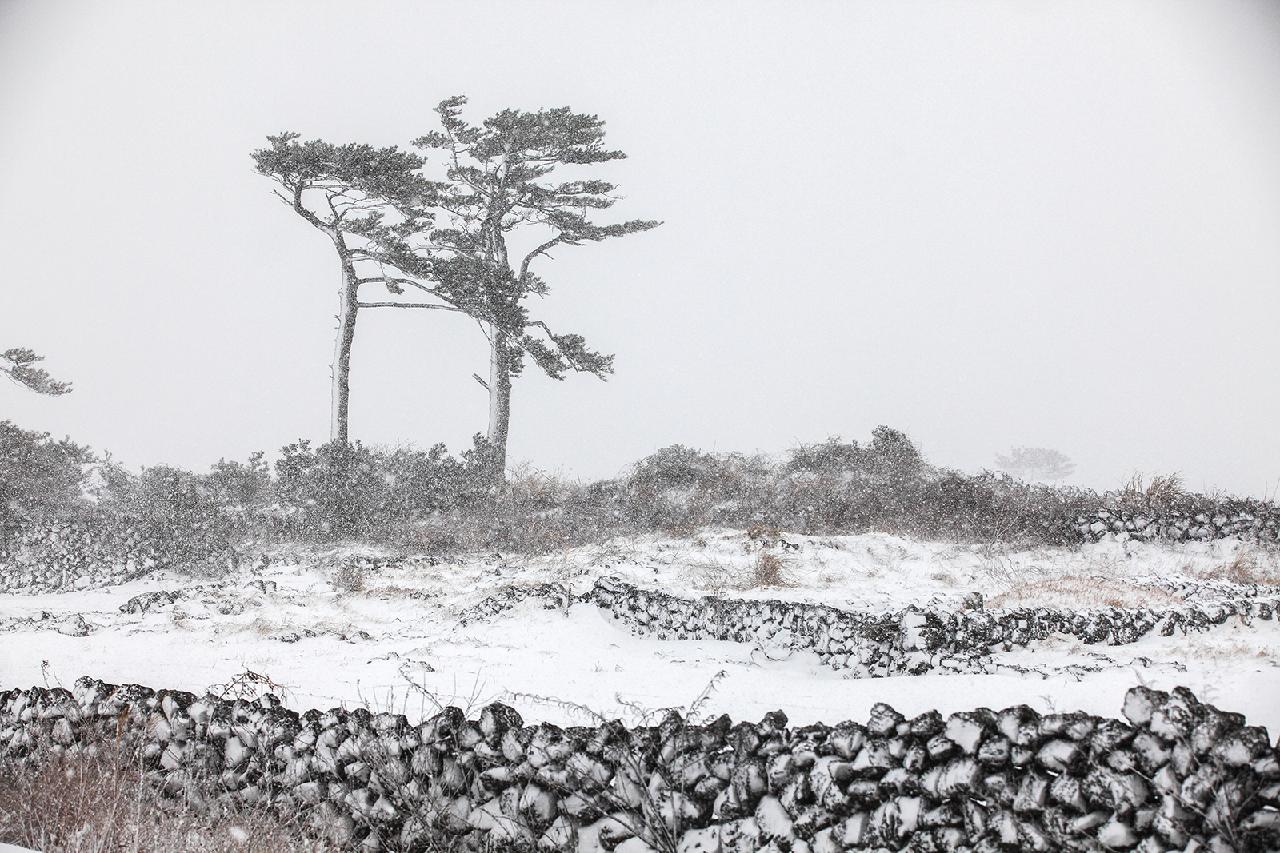 An Exploration of Traditional Living on Jeju