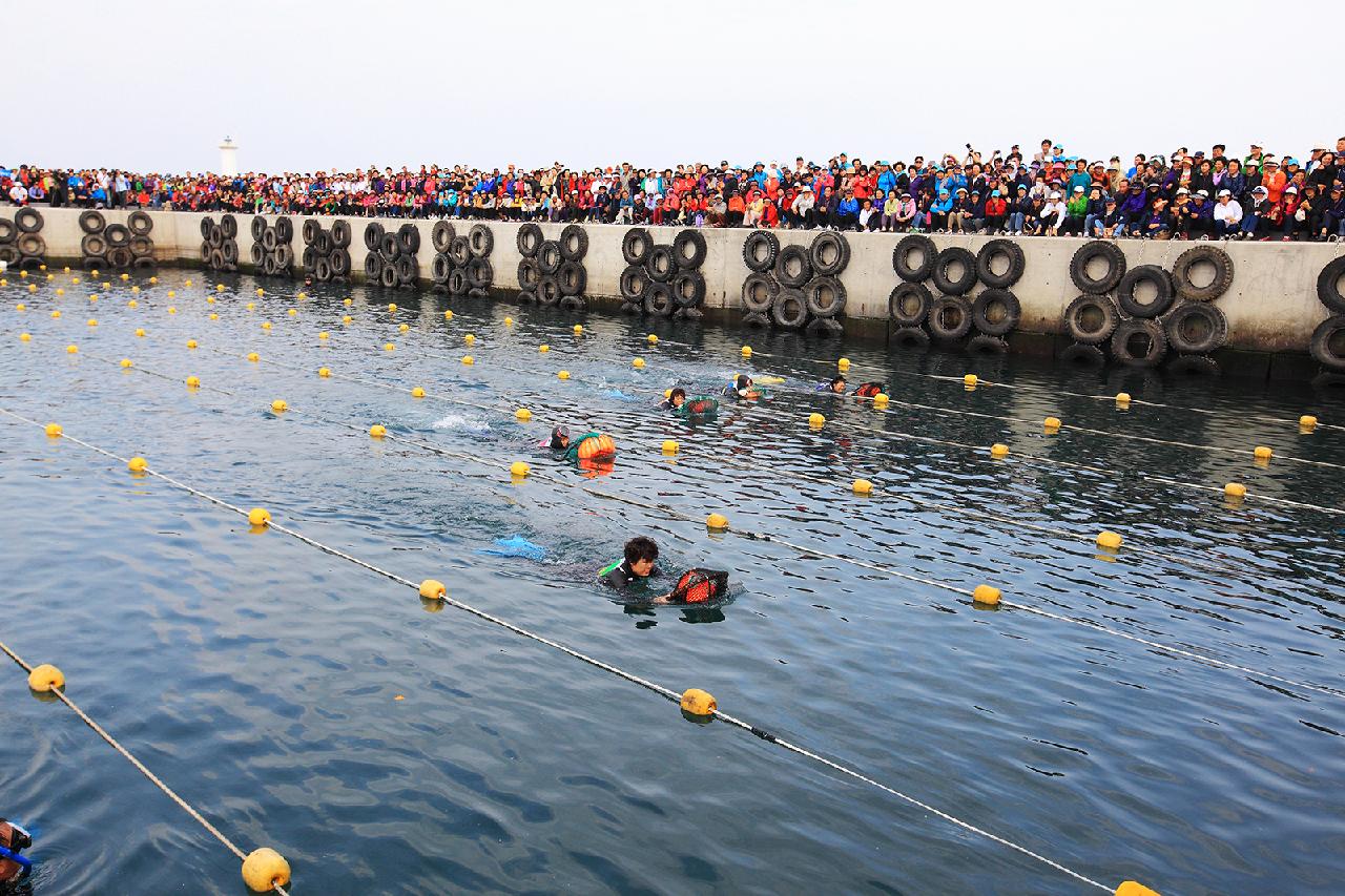 At a Glance: A Quick Guide to Jeju’s Best Festivals