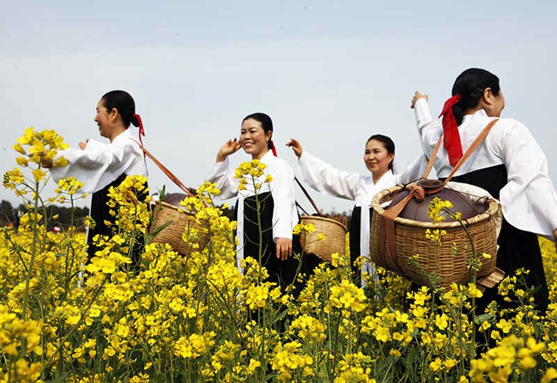 At a Glance: A Quick Guide to Jeju’s Best Festivals