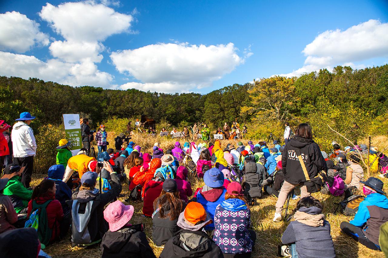 At a Glance: A Quick Guide to Jeju’s Best Festivals