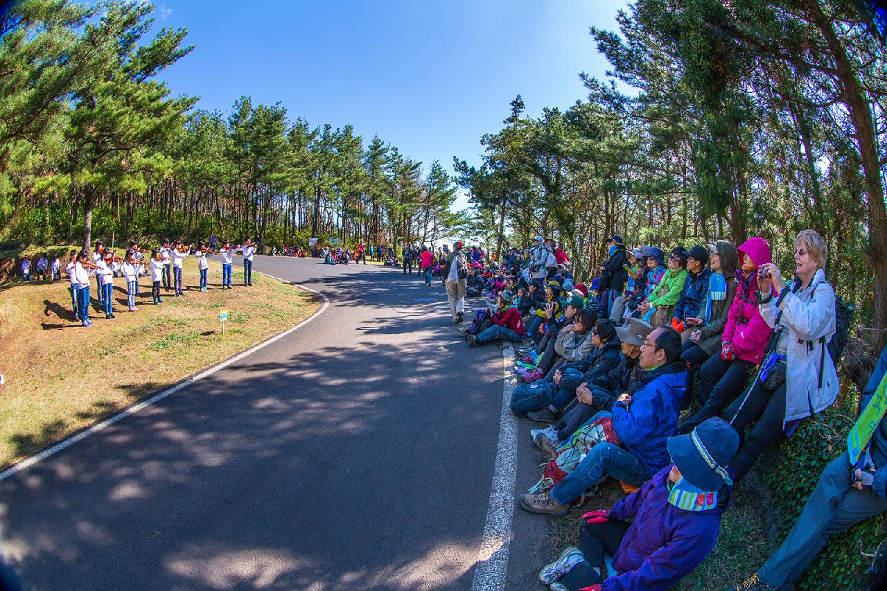 At a Glance: A Quick Guide to Jeju’s Best Festivals