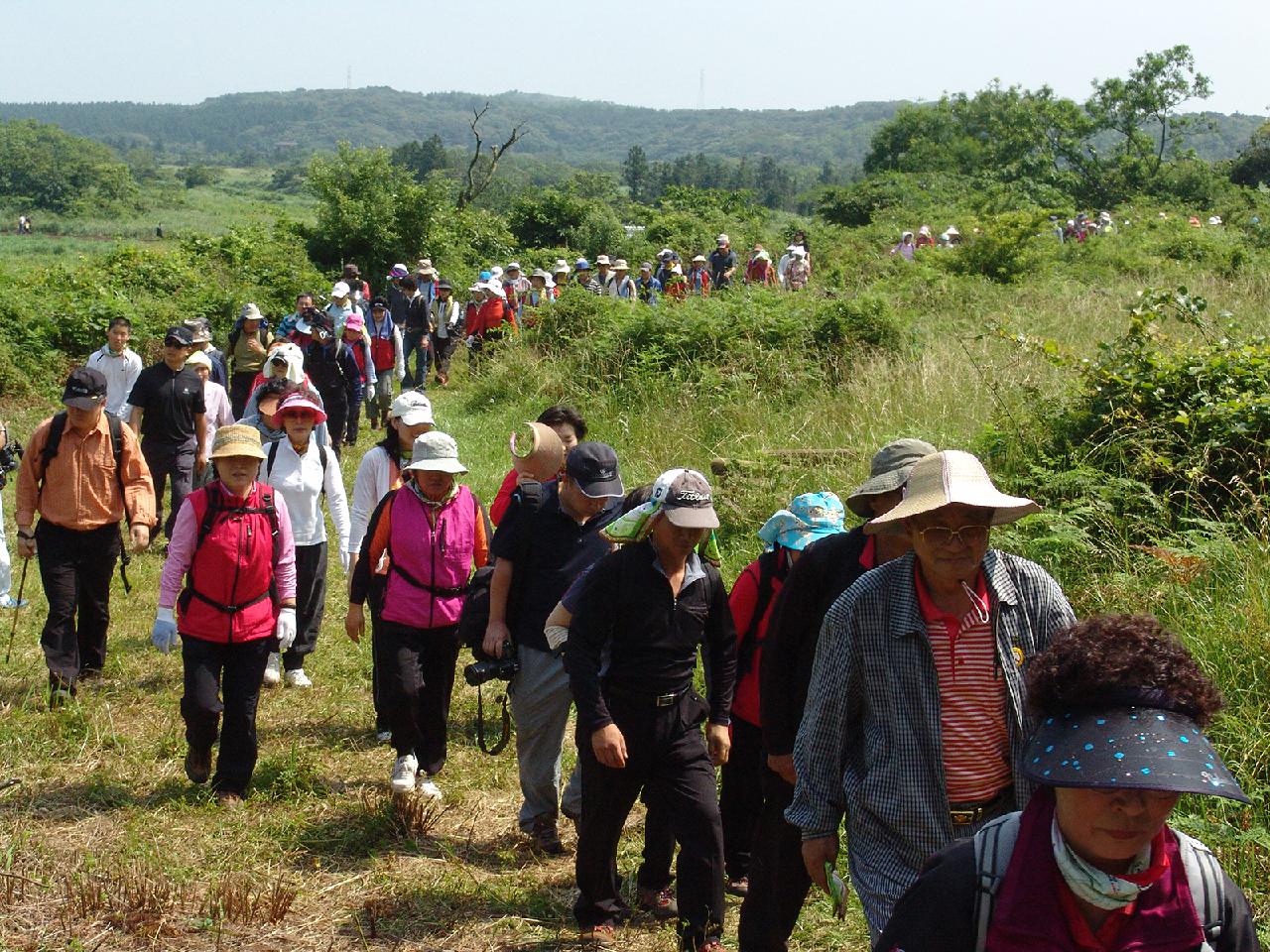 At a Glance: A Quick Guide to Jeju’s Best Festivals