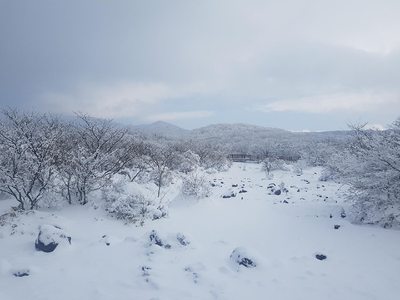 感受冬日濟州之旅所帶來的多彩多姿
