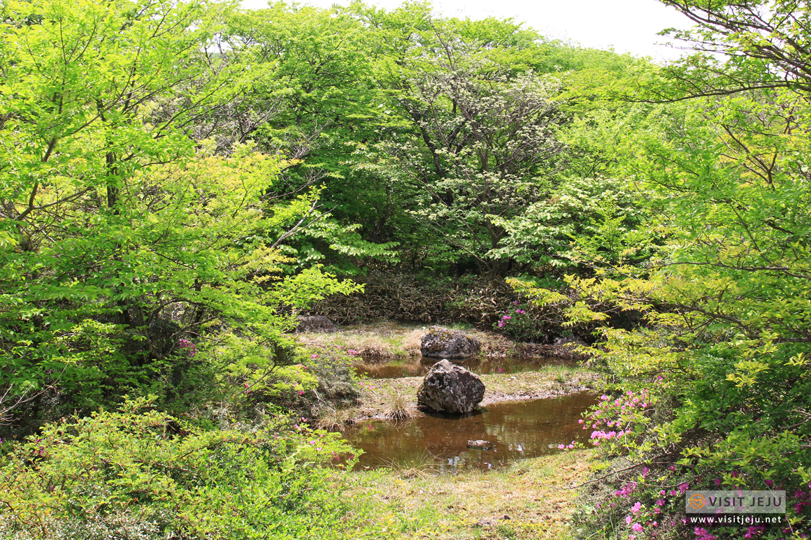 나홀로제주_이미지수정