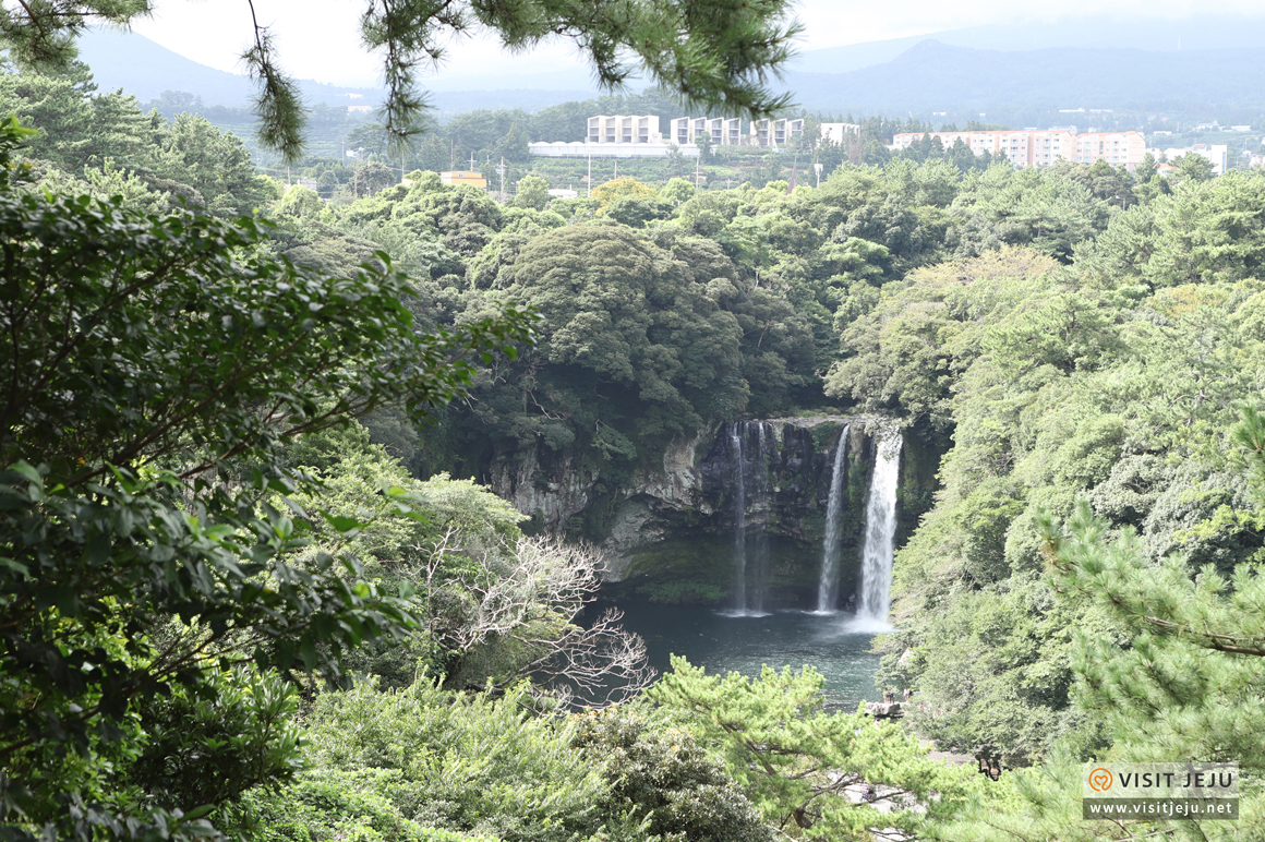 나홀로제주_이미지수정