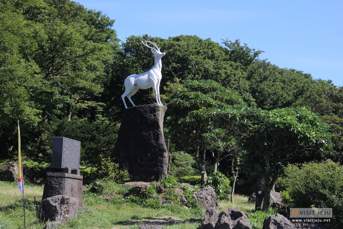 나홀로제주_이미지수정