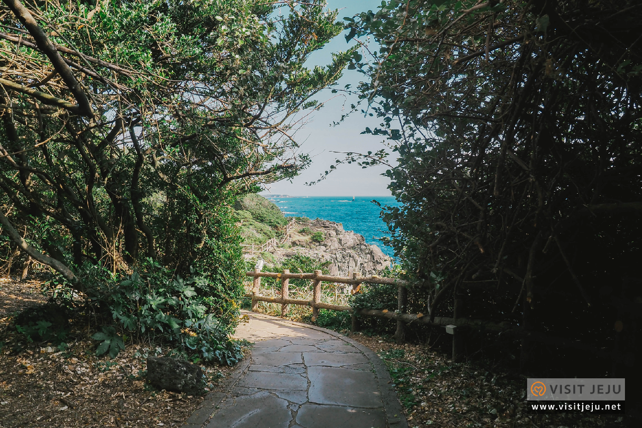 제주마을산책 〈겨울, 남원읍〉 (상)