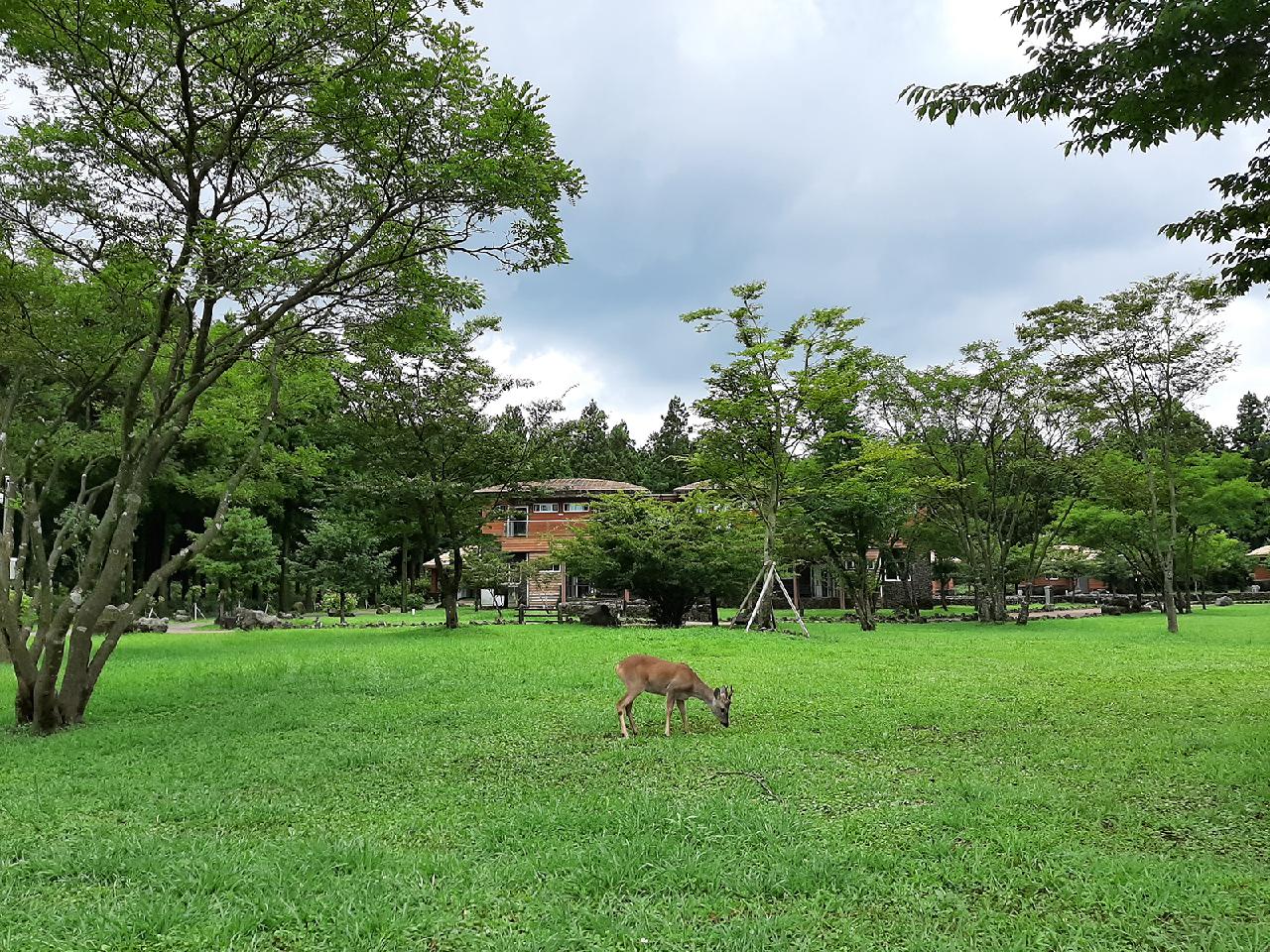 Four Accessible Jeju Trails Where Anyone Can Connect With Nature