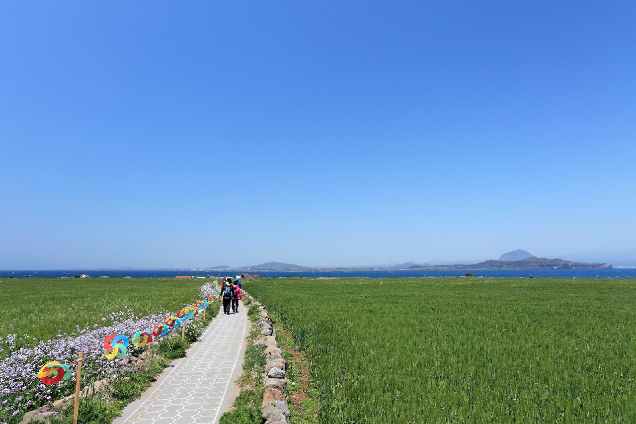 Four Accessible Jeju Trails Where Anyone Can Connect With Nature