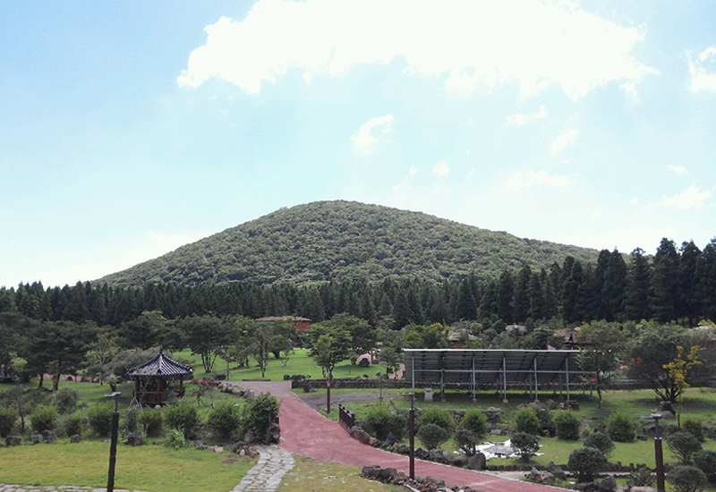 Four Accessible Jeju Trails Where Anyone Can Connect With Nature