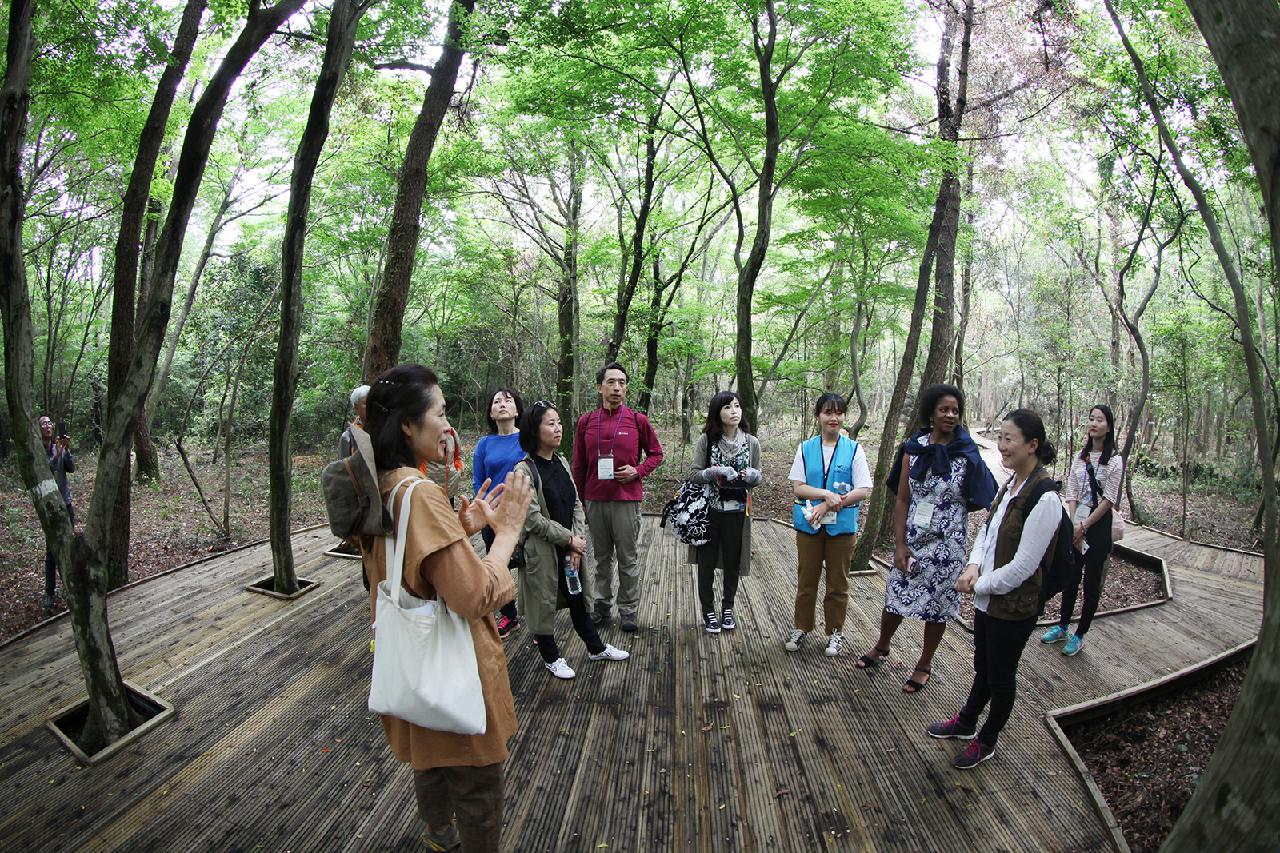 Four Accessible Jeju Trails Where Anyone Can Connect With Nature