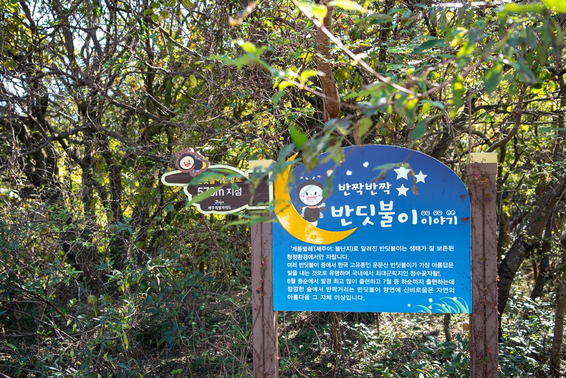 2020 에코파티