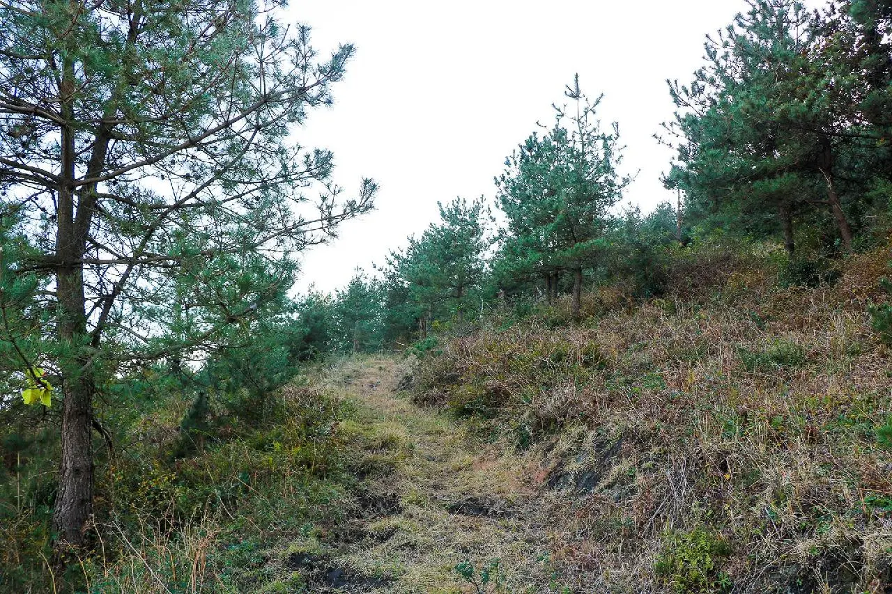 Gase Oreum Volcanic Cone