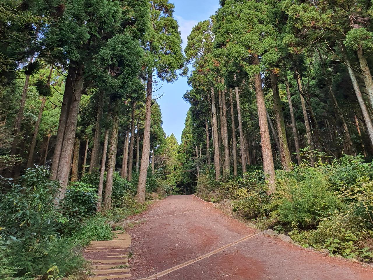 치유의숲화산송이길