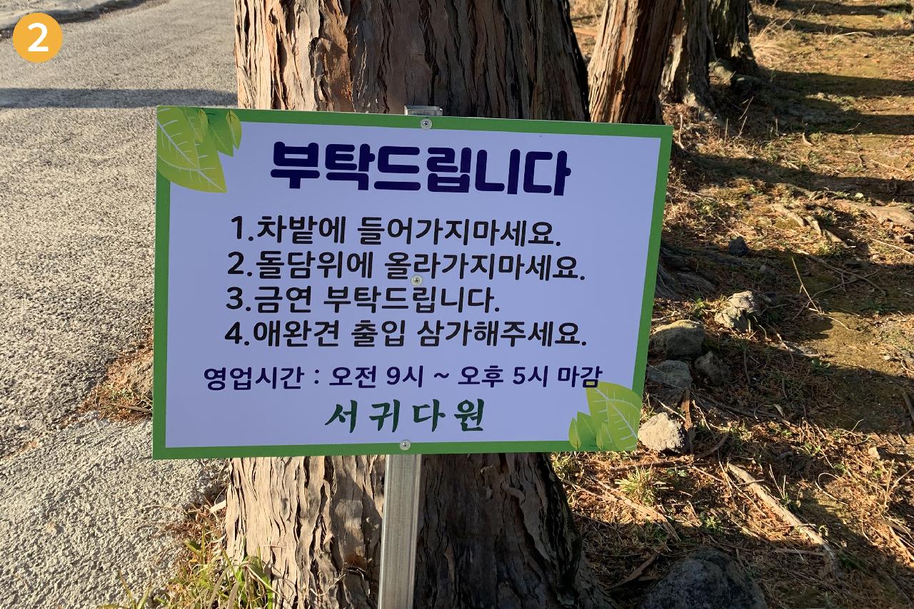 서귀다원유의사항