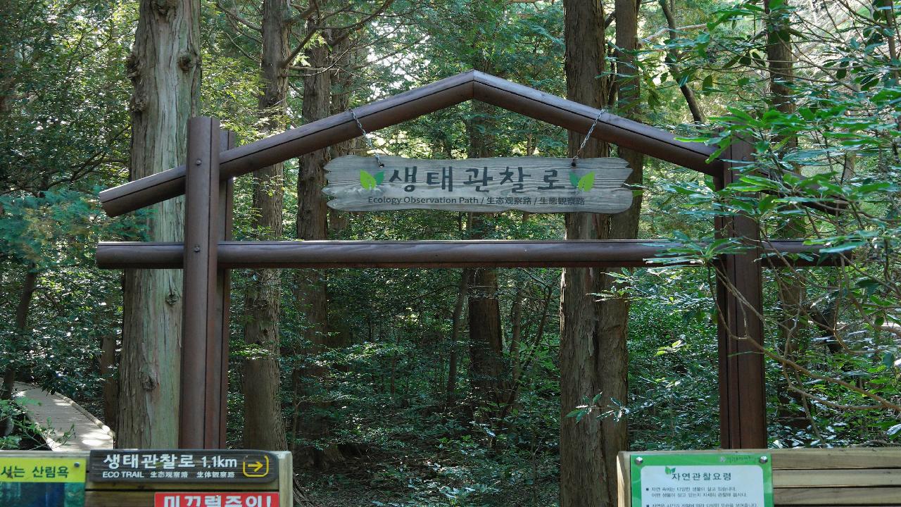 서귀포자연휴양림생태관찰로입구