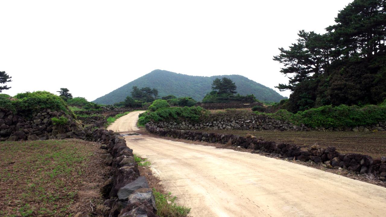 지미봉밭길전경