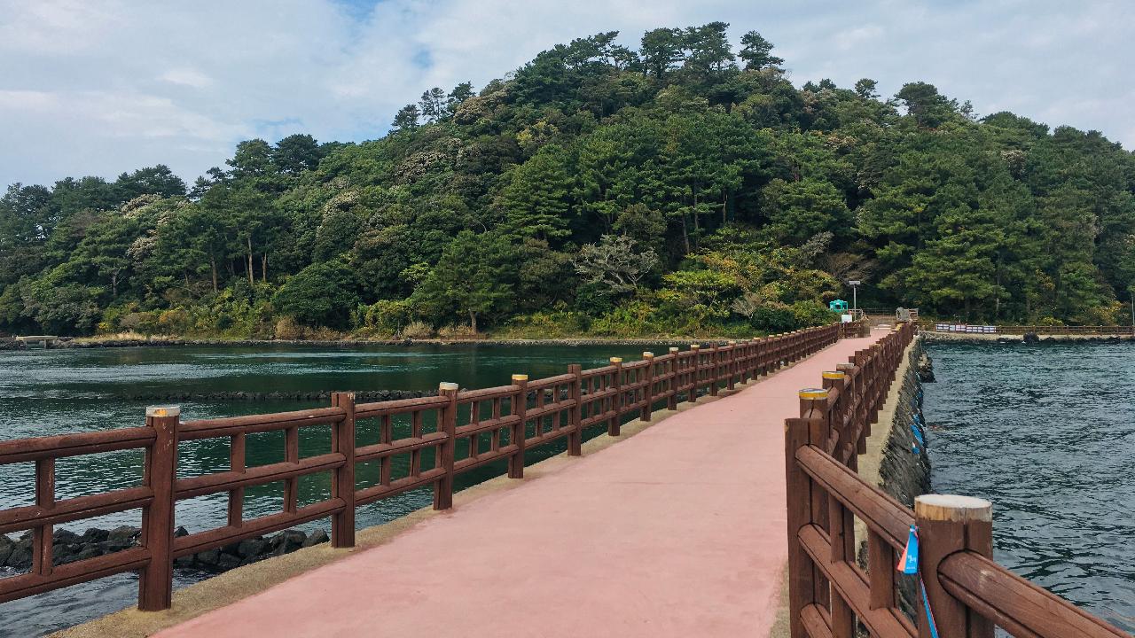 오조포구전경