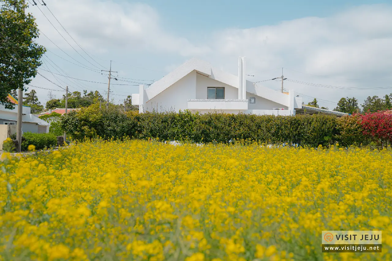 제주마을산책 (상)