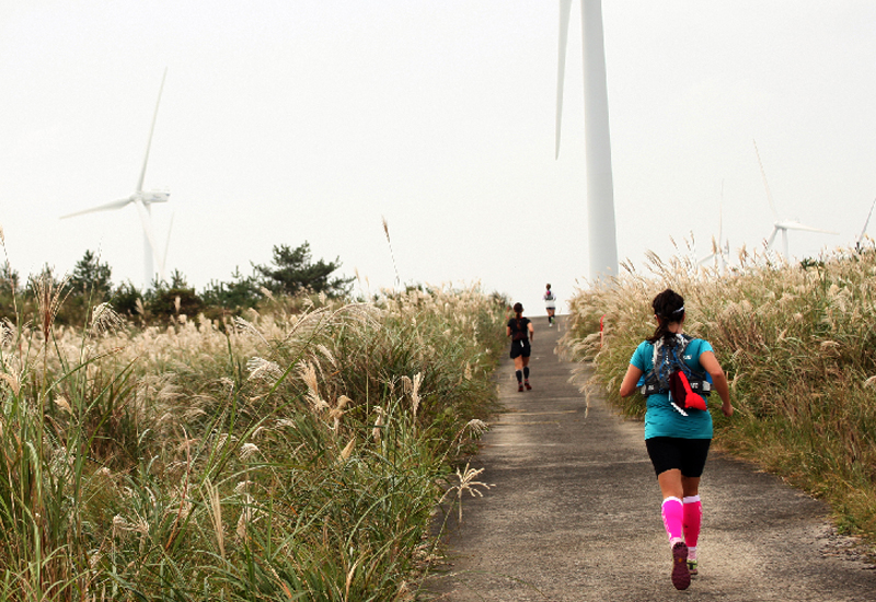 Experience Jeju’s Coast, Forest, and Hills through Running