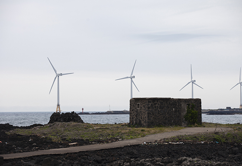 A Fun-Filled Trip Around the West of Jeju