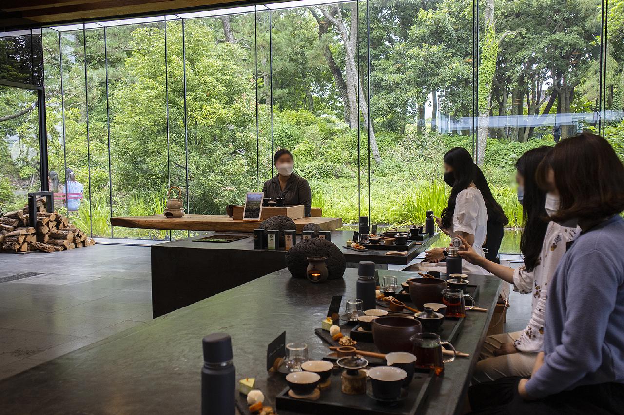 Where to Have a Calming Green Tea Experience on Jeju