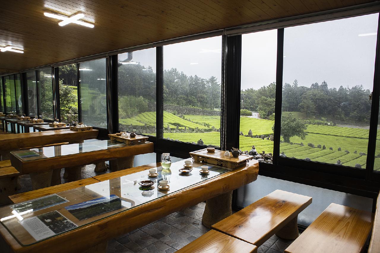 Where to Have a Calming Green Tea Experience on Jeju