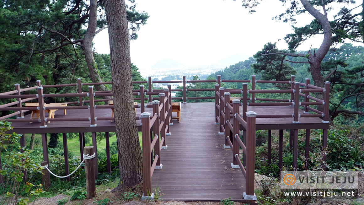 제주 남부권 비대면 안심 관광지 스팟 10