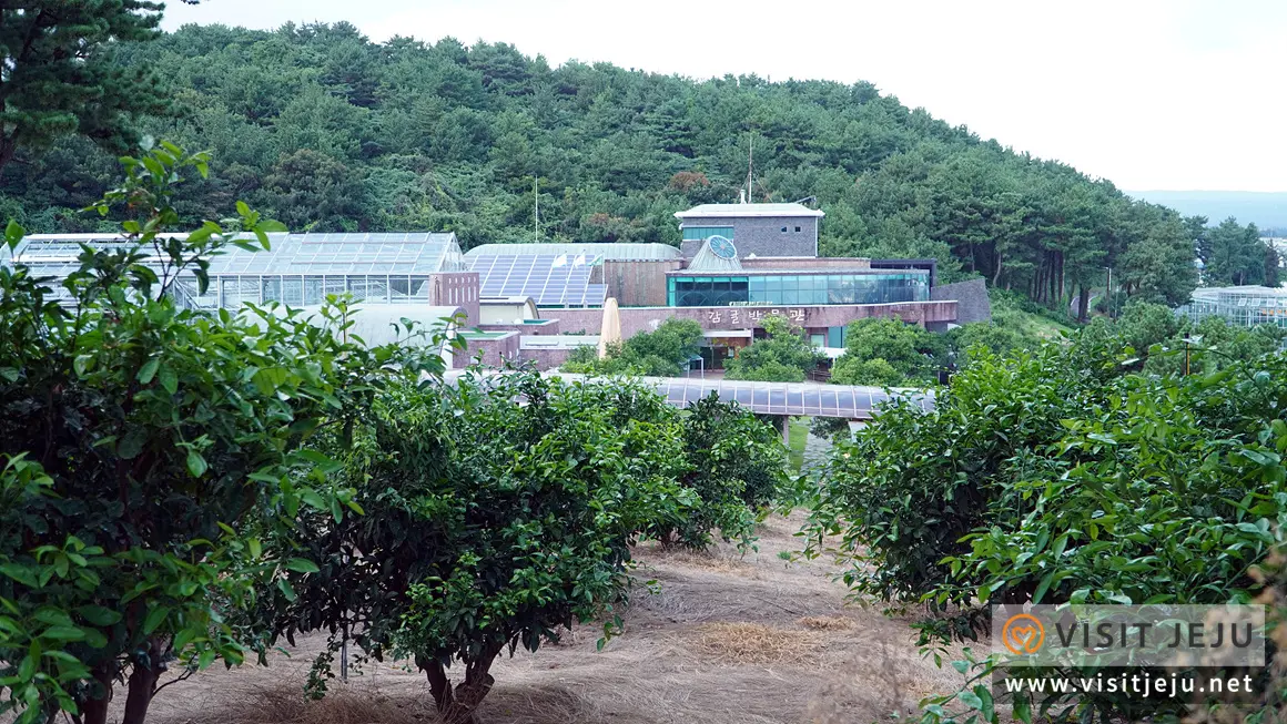 Citrus Museum Wollabong Promenade