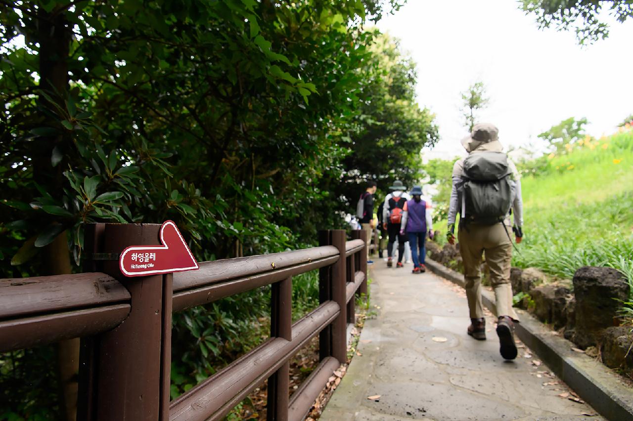 Exploring Seogwipo via HaYoung Olle Trail 2