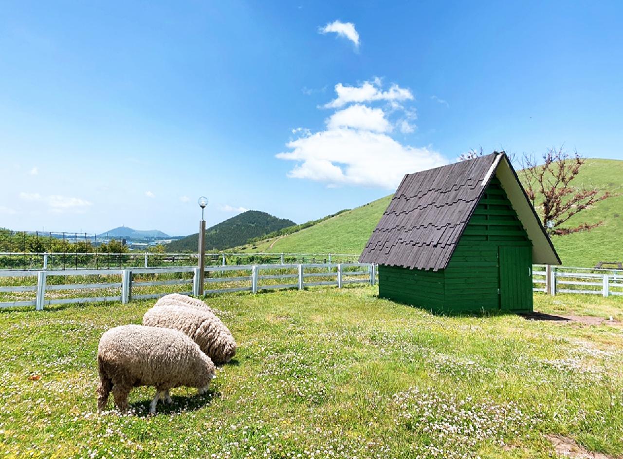 All the Sites from 3 K-Pop Music Videos Shot on Jeju