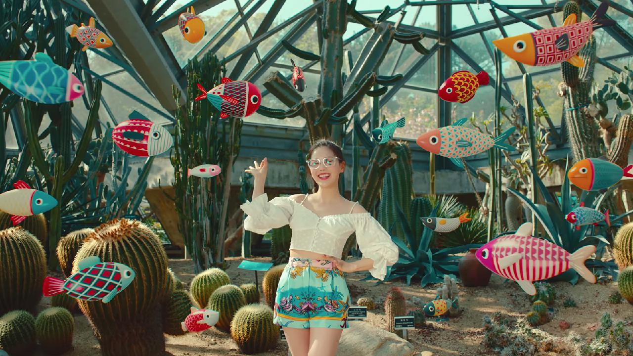 All the Sites from 3 K-Pop Music Videos Shot on Jeju