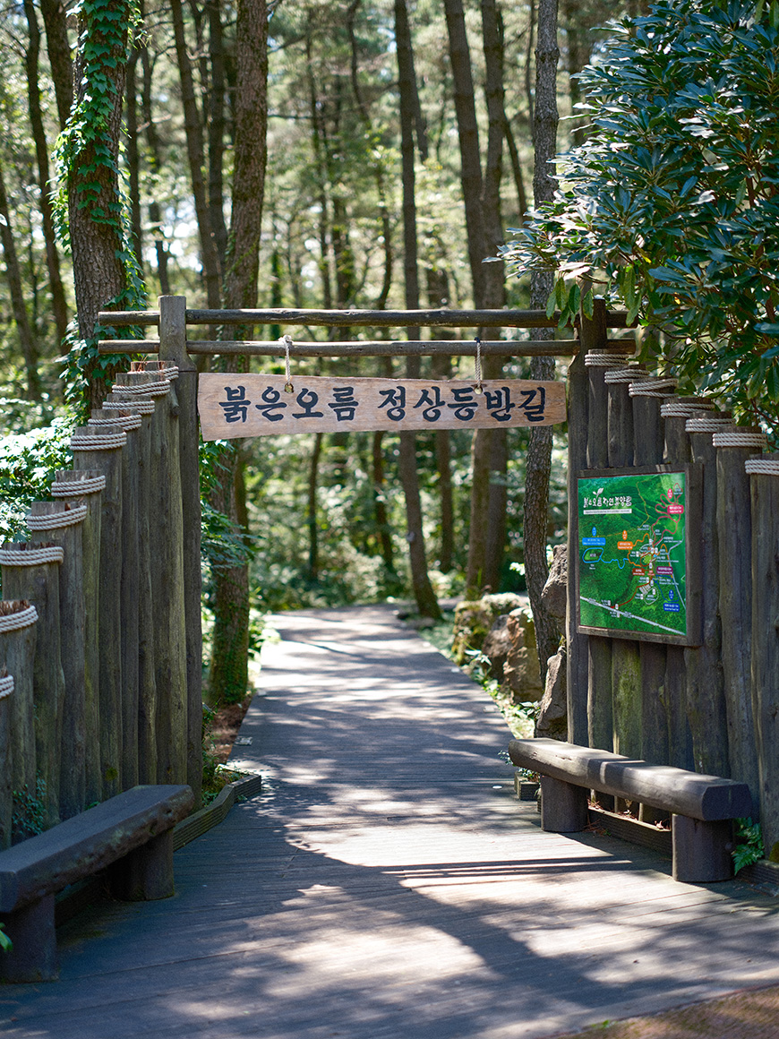 붉은오름1