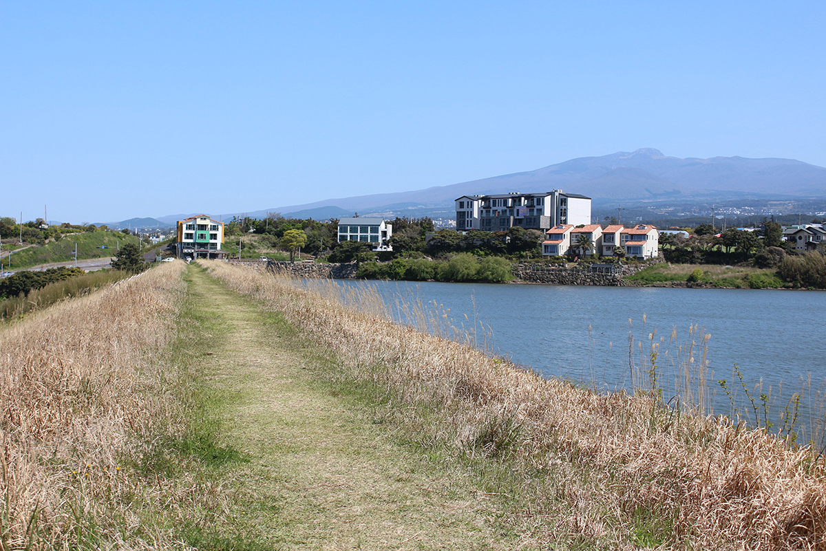 수산저수지 둑방 산책로