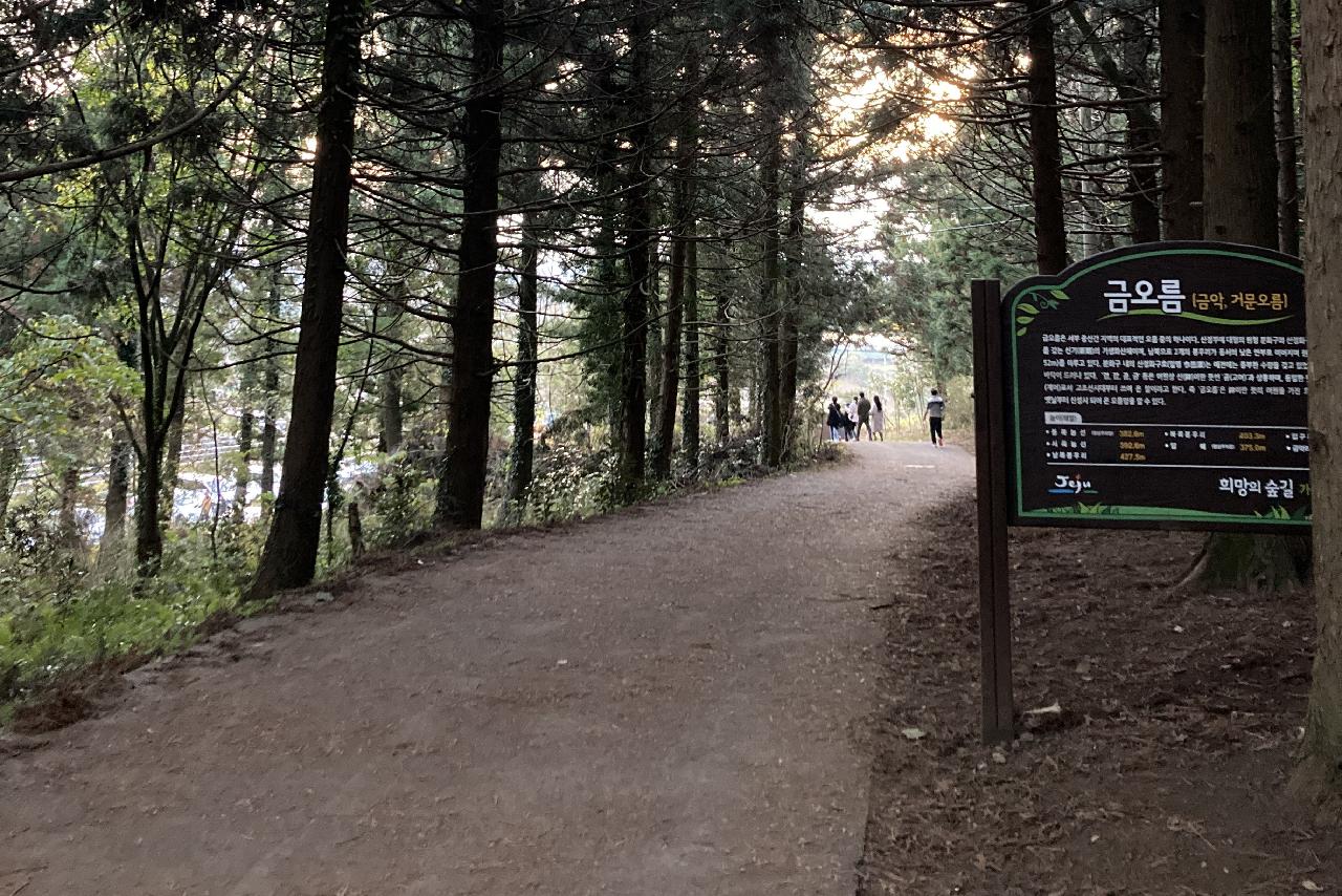 금악오름 탐방로