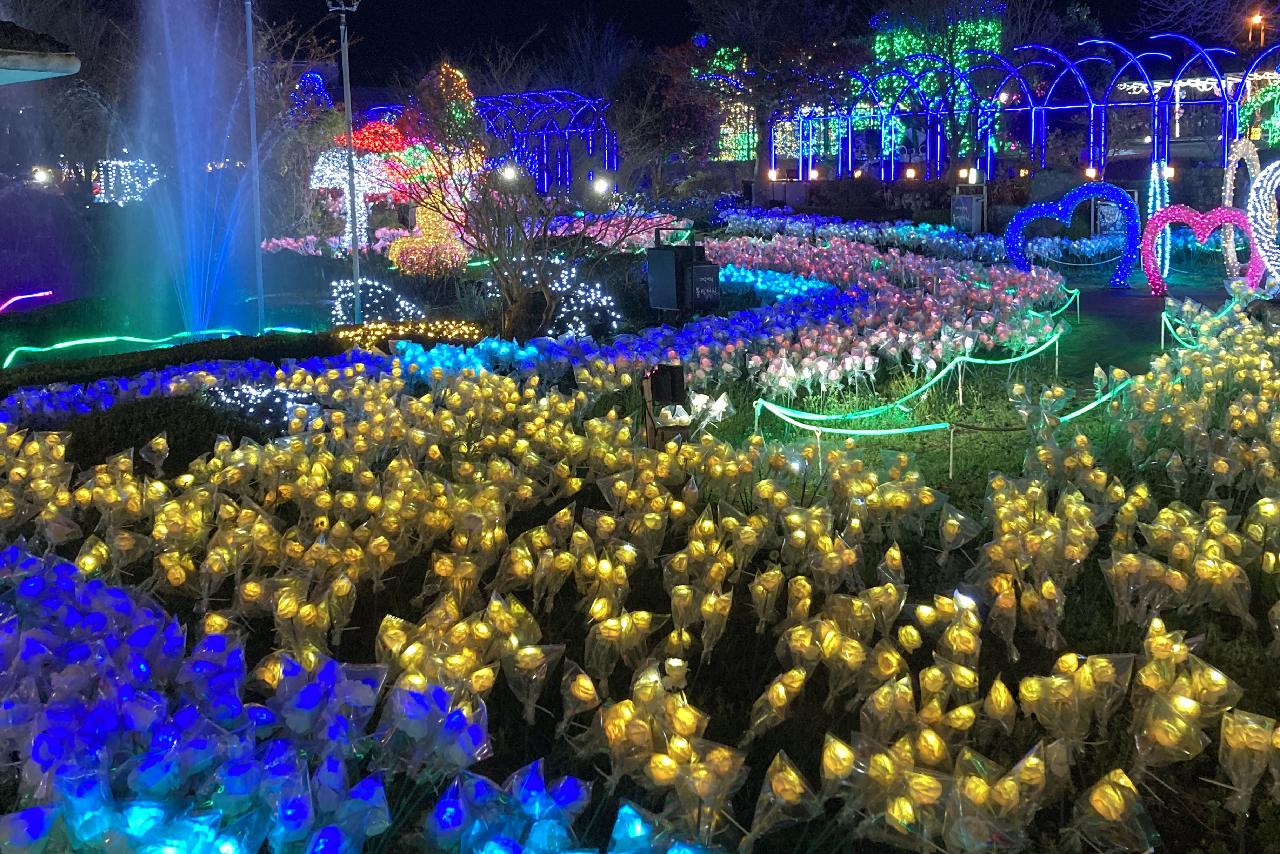 불빛정원의 야간 조명