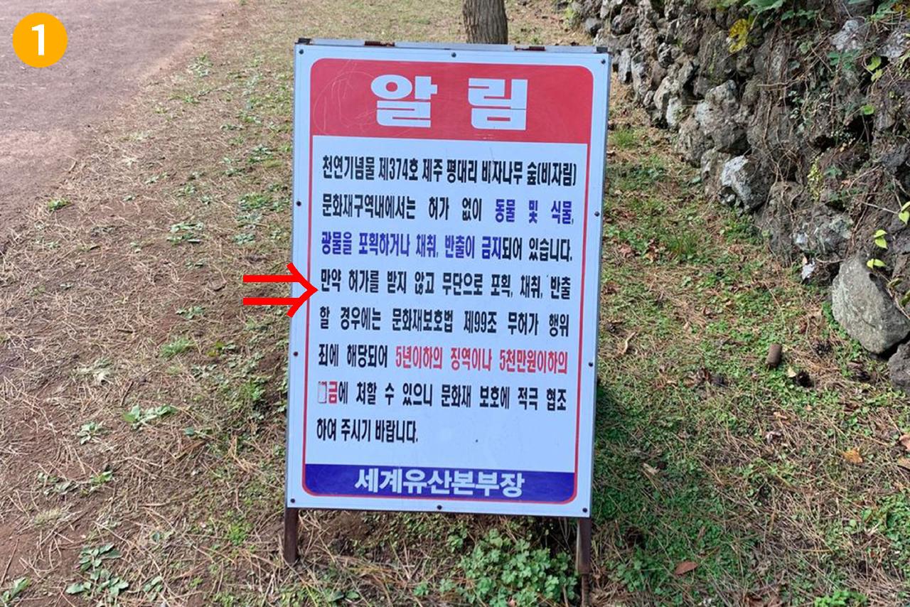 비자림 경고 안내문