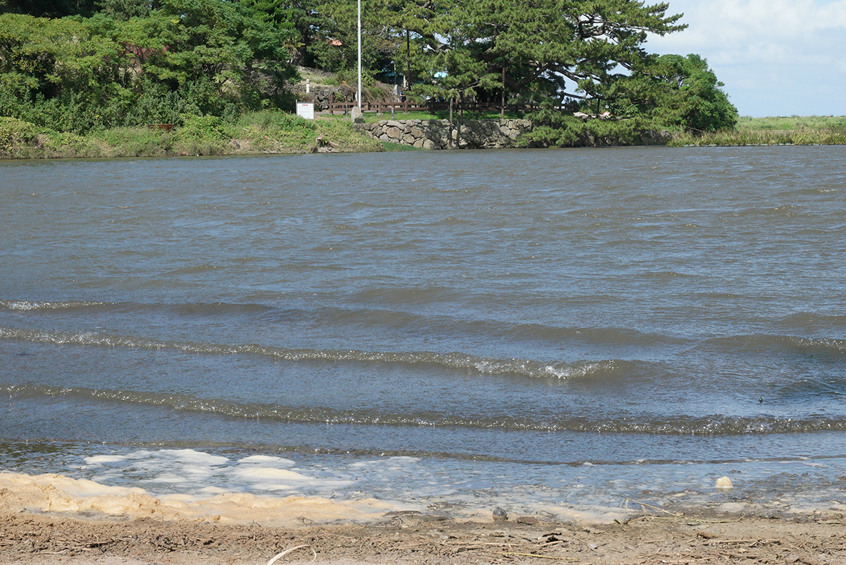 수잔서주시 전경