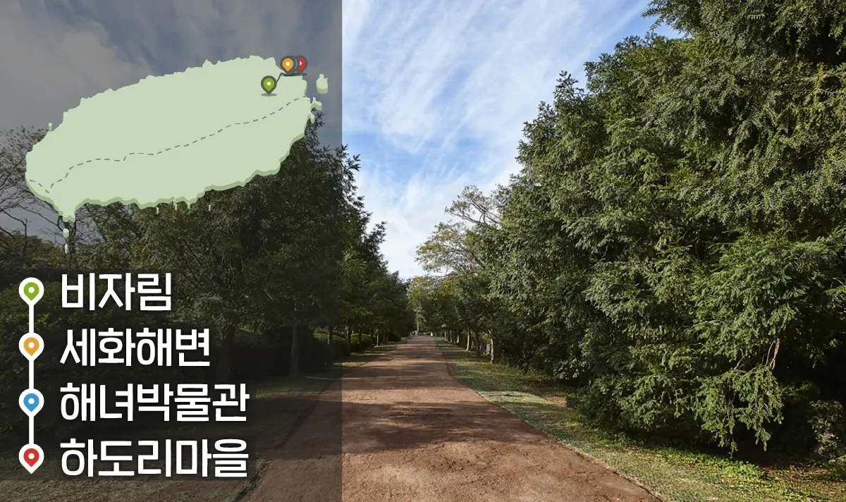 [같이가치 제주여행] 22. 반짝이는 자연과 옛 이야기가 있는 제주의 바다마을