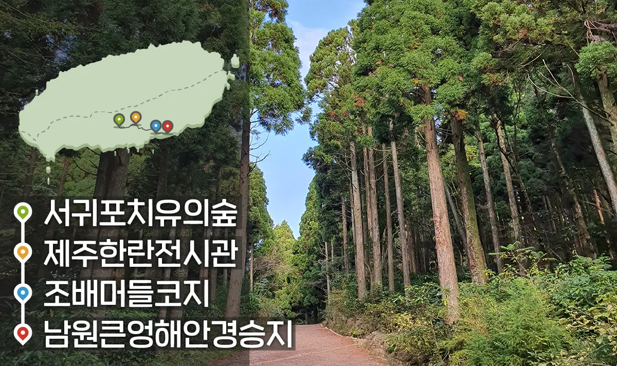[같이가치 제주여행] 18. 산길 따라 따뜻한 남원으로 떠나는 여행