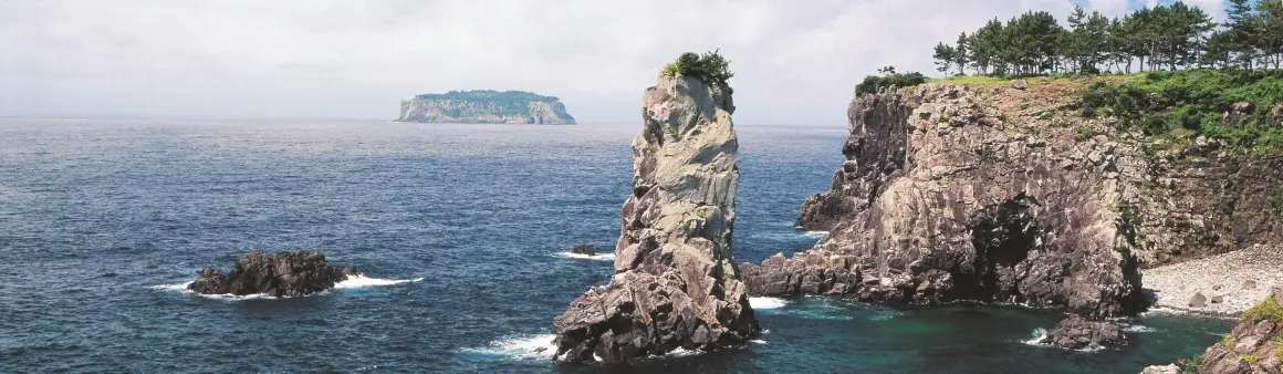 済州オルレ7コース周辺のウェドルゲ実景