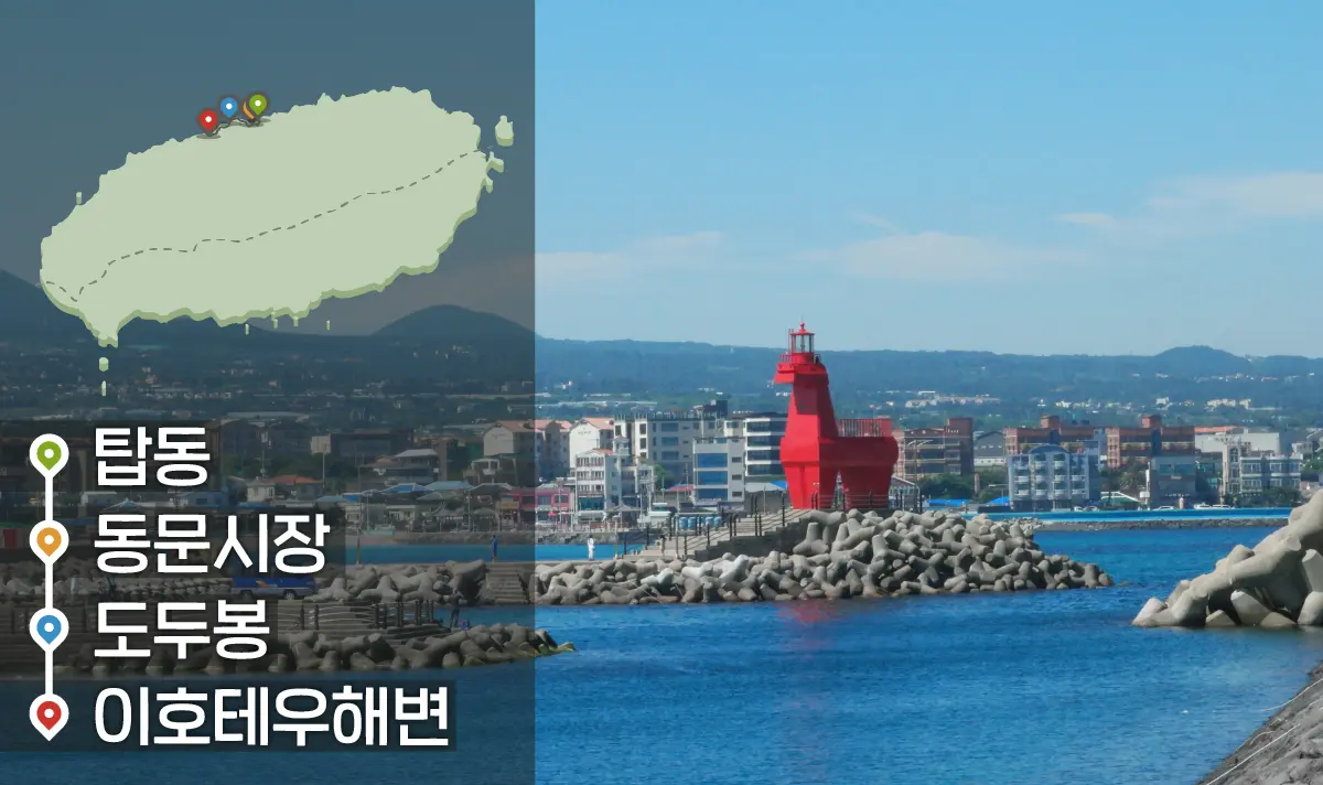[같이가치 제주여행] 04. 기억하고 싶은 제주 원도심의 삶과 자연