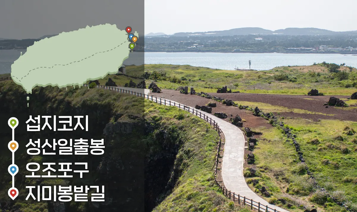 [같이가치 제주여행] 05. 뜨거운 태양이 떠오르는 제주 동부와 만나다