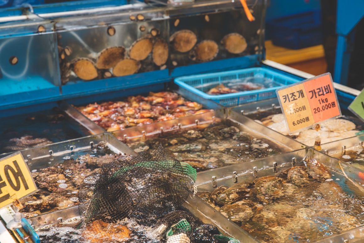 제주 동문수산시장