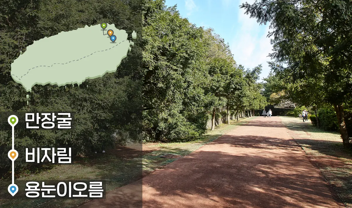 [같이가치 제주여행] 06. 다양한 높이에서 누리는 힐링 제주