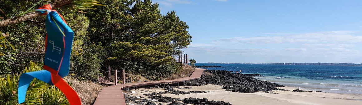 하도해변 2019