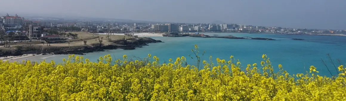 咸徳海水浴場に隣接する西宇峰の実景