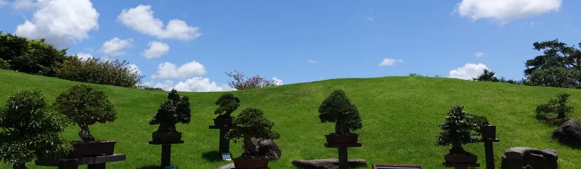 Spirited Garden